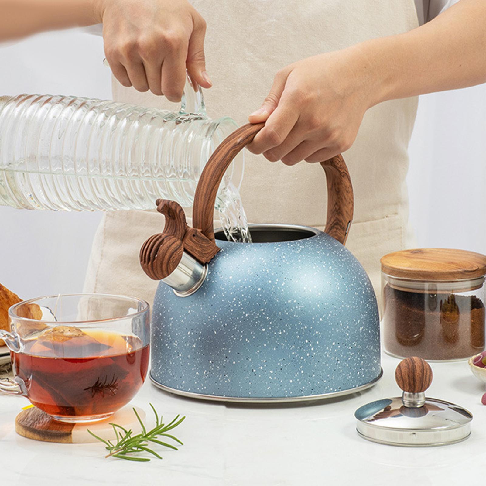 กาต้มน้ำสำหรับเตาแก๊ส ขนาด 0.5 - Coffee Tea Etc บทวิจารณ์และราคา